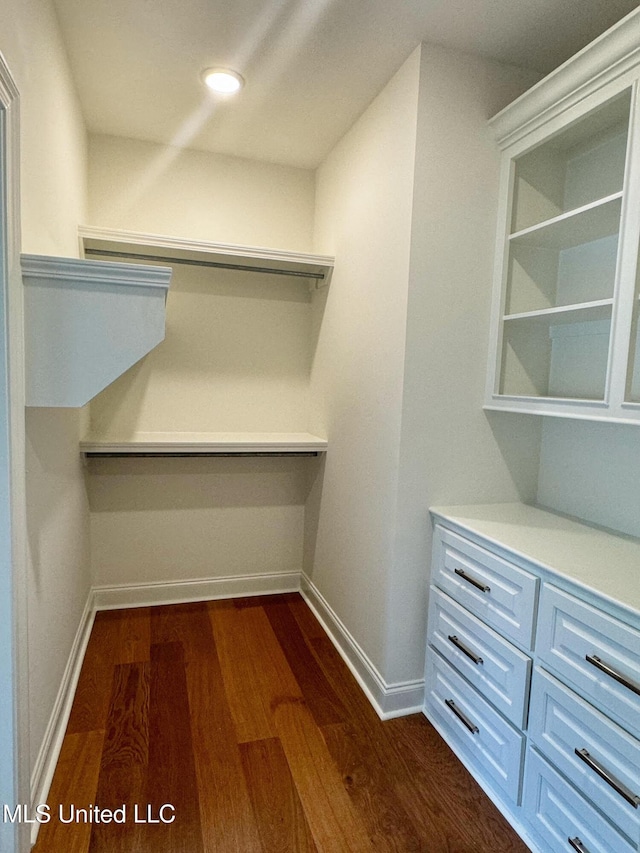 walk in closet featuring dark hardwood / wood-style floors