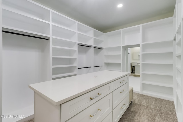 spacious closet with carpet floors