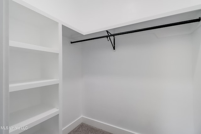 walk in closet featuring carpet