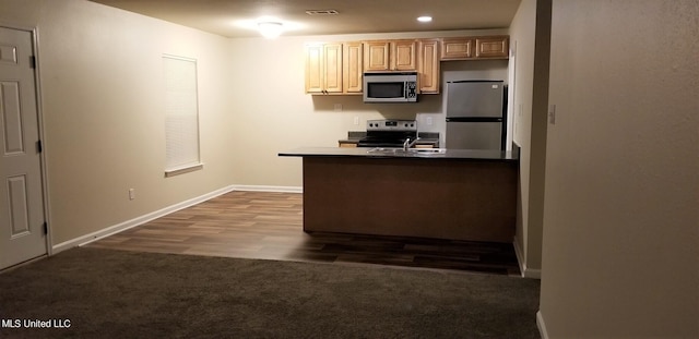 kitchen featuring light brown cabinetry, appliances with stainless steel finishes, and dark hardwood / wood-style floors