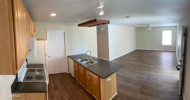 kitchen with sink, dishwasher, dark wood-type flooring, and ceiling fan