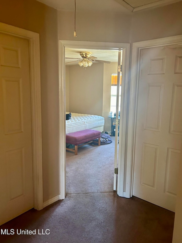 hallway with dark colored carpet