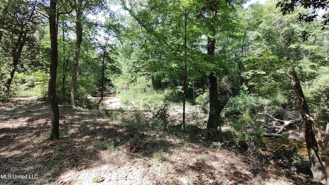 view of landscape featuring a wooded view