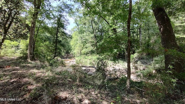 view of landscape featuring a view of trees