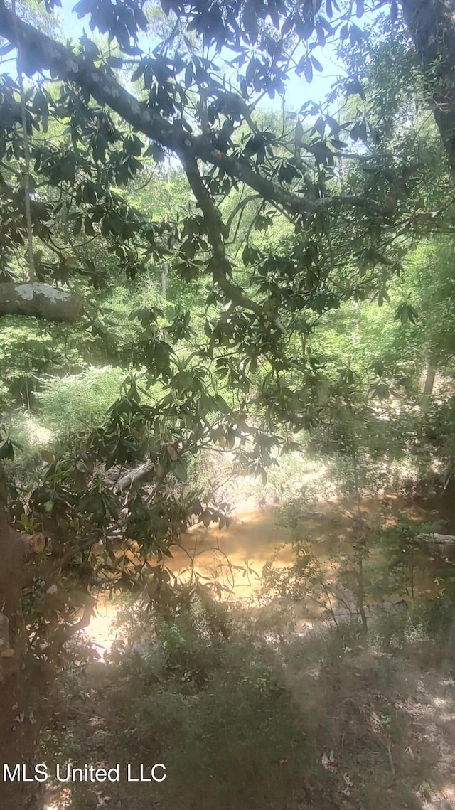 view of local wilderness