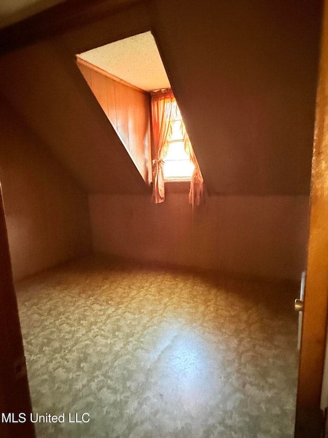 bonus room with lofted ceiling