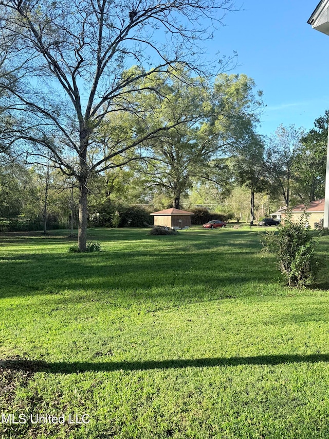 view of yard