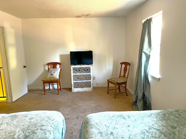 carpeted bedroom featuring a textured ceiling