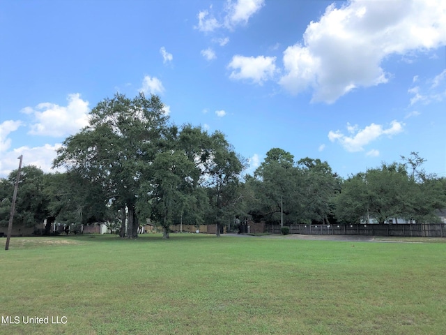 view of yard