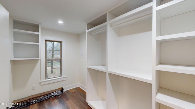 spacious closet with dark hardwood / wood-style floors