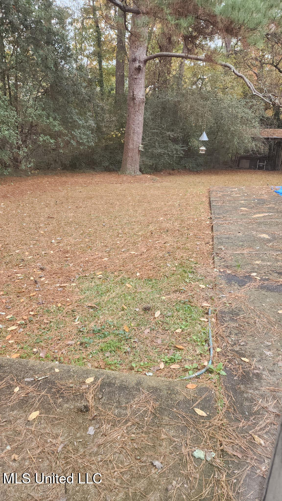 751 Dorgan St, Jackson, MS 39204 - view of yard