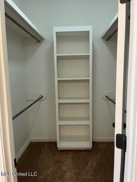 708 Bo Blaze Cv, Brandon, MS 39047 - walk in closet with carpet flooring