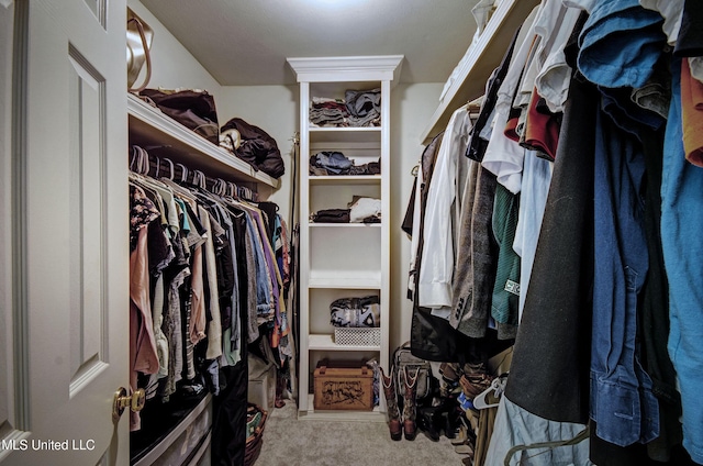 320 Woodhollow Cv, Brandon, MS 39047 - spacious closet featuring carpet floors