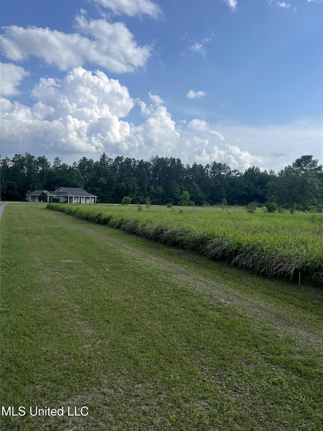 8100 Belle Etheridge Rd, Lucedale, MS 39452 - view of grassy yard with a view of countryside
