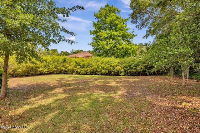 426 Donwood Pl, Biloxi, MS 39530 - view of grassy yard