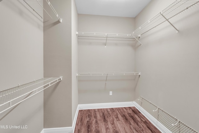 walk in closet featuring wood finished floors