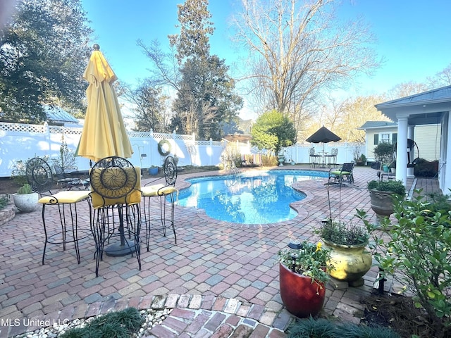 521 Holland Ave, Philadelphia, MS 39350 - view of pool featuring a patio