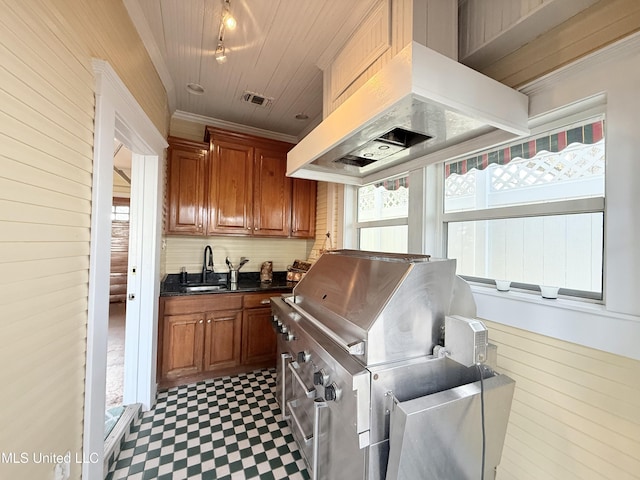 521 Holland Ave, Philadelphia, MS 39350 - kitchen with premium range hood, sink, and ornamental molding