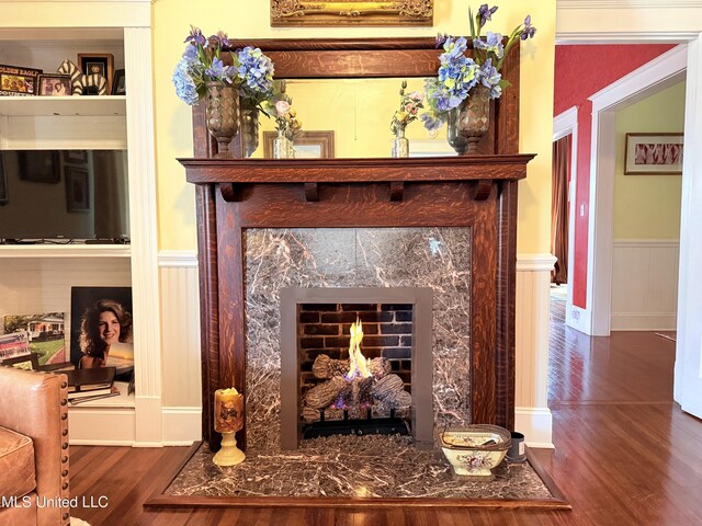 521 Holland Ave, Philadelphia, MS 39350 - interior details featuring built in features, wood-type flooring, and a fireplace