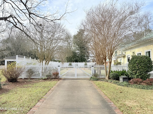 521 Holland Ave, Philadelphia, MS 39350 - view of road