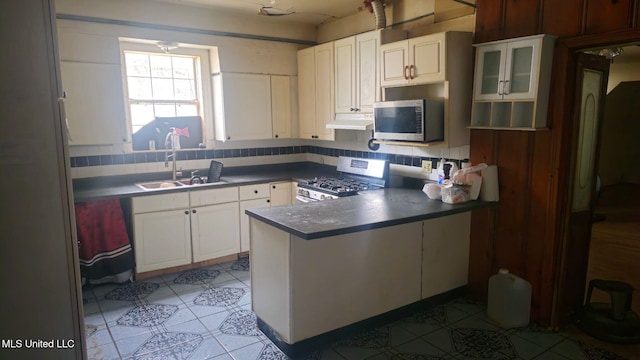 kitchen featuring tasteful backsplash, appliances with stainless steel finishes, a peninsula, under cabinet range hood, and a sink