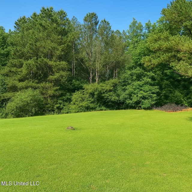 70 Yarbrough Loop, Holly Springs, MS 38635 - view of grassy yard