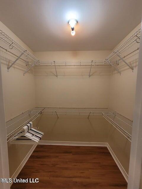 walk in closet with wood finished floors