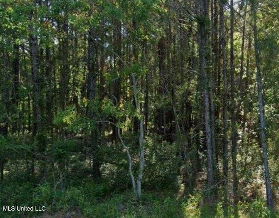 6012 M And L, Biloxi MS, 39532 land for sale