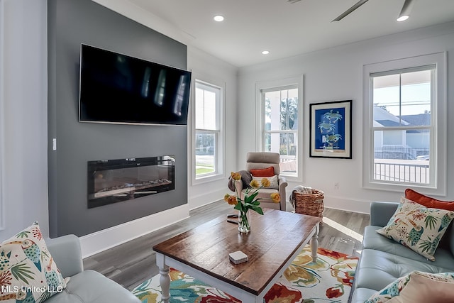 living room with wood-type flooring