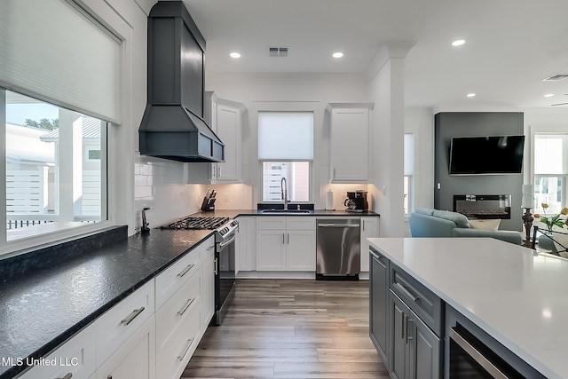 kitchen with a wealth of natural light, stainless steel appliances, premium range hood, and dark hardwood / wood-style flooring