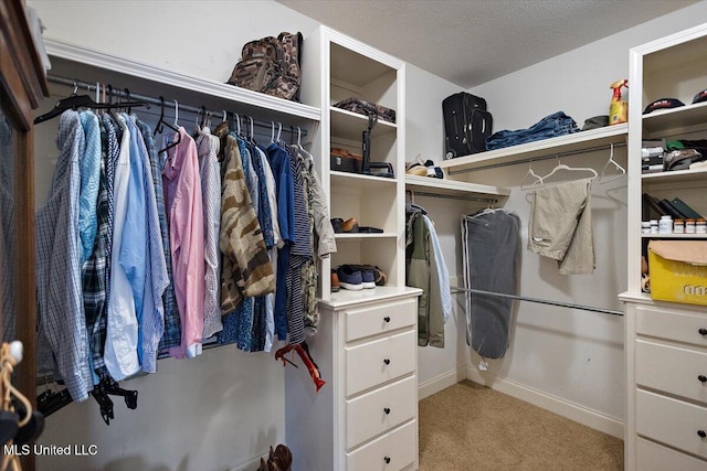 136 Mullherrin Dr, Madison, MS 39110 - walk in closet featuring light carpet