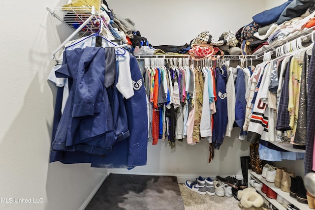 walk in closet featuring carpet flooring