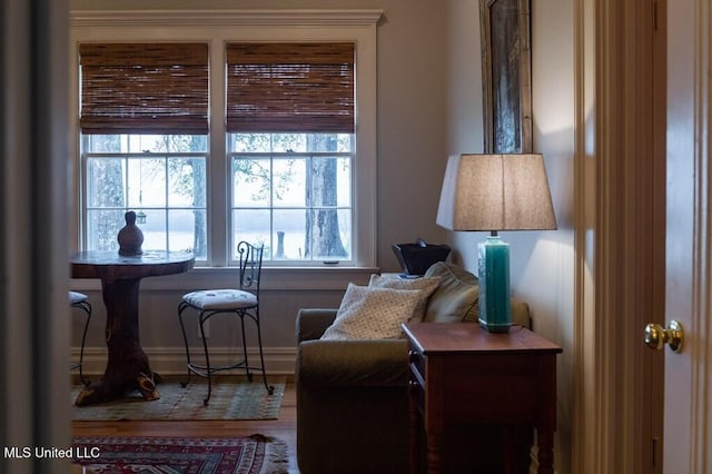 sitting room featuring wood-type flooring