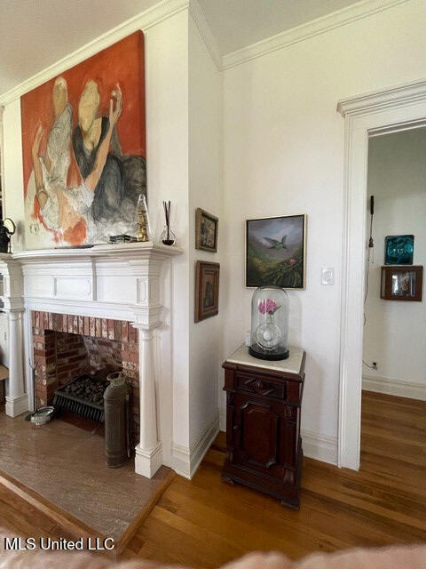 room details with hardwood / wood-style floors, crown molding, and a fireplace