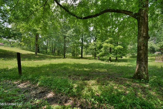 3490 Sherrod Rd, Nesbit, MS 38651 - view of yard