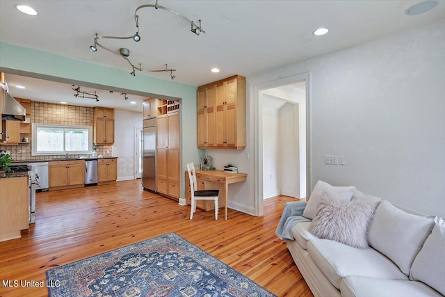 kitchen featuring decorative backsplash, appliances with stainless steel finishes, light hardwood / wood-style floors, sink, and ventilation hood