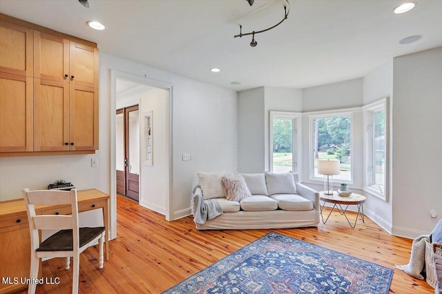 living room featuring light hardwood / wood-style flooring