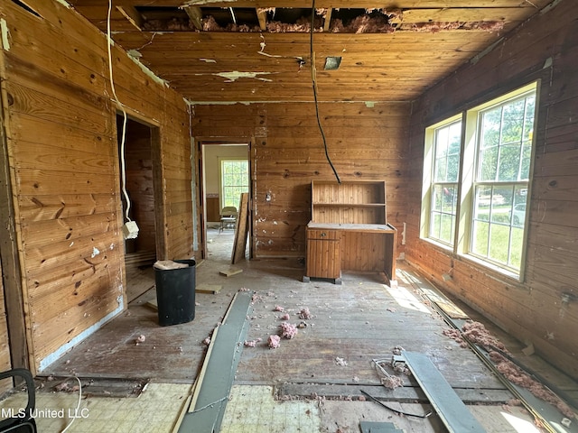 miscellaneous room featuring plenty of natural light