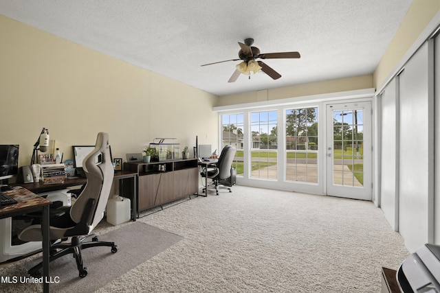 office area featuring carpet floors, ceiling fan, and a textured ceiling