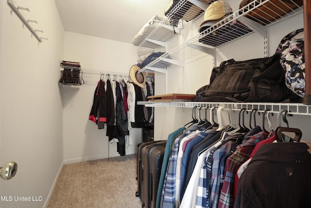walk in closet with carpet floors