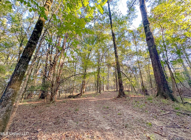 Mount Leopard Rd, Flora, MS 39071