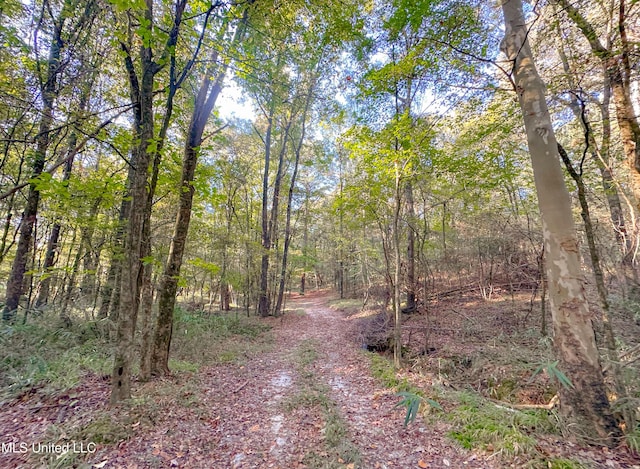Mount Leopard Rd, Flora, MS 39071
