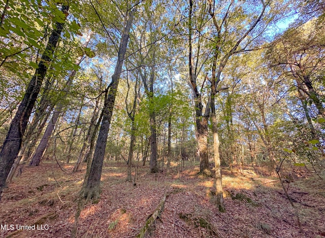 Mount Leopard Rd, Flora, MS 39071