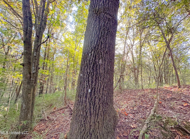 Mount Leopard Rd, Flora, MS 39071