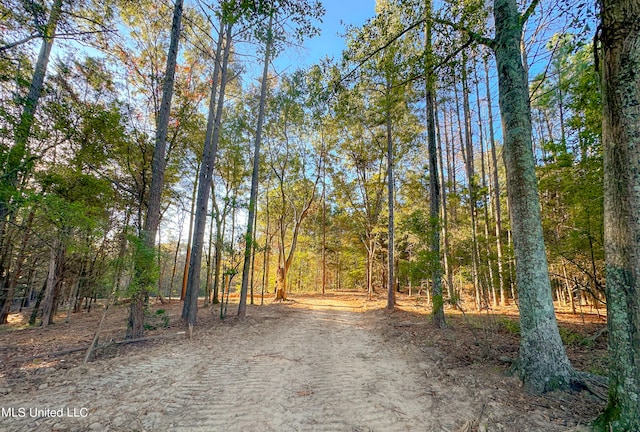 Listing photo 2 for Mount Leopard Rd, Flora MS 39071