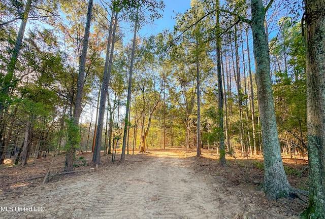 Mount Leopard Rd, Flora, MS 39071