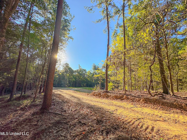 Mount Leopard Rd, Flora, MS 39071