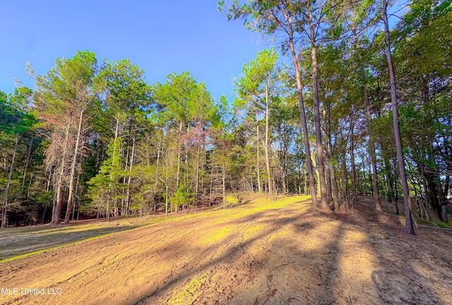 Mount Leopard Rd, Flora, MS 39071