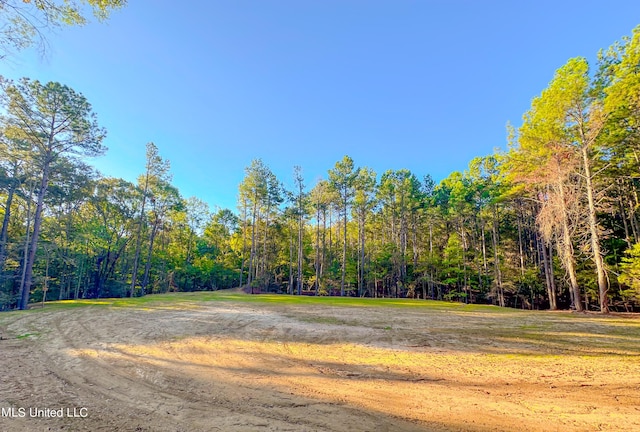 Mount Leopard Rd, Flora, MS 39071