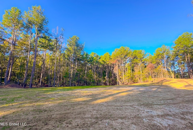 Mount Leopard Rd, Flora, MS 39071